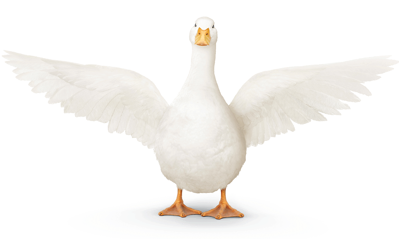 Aflac Brand Center