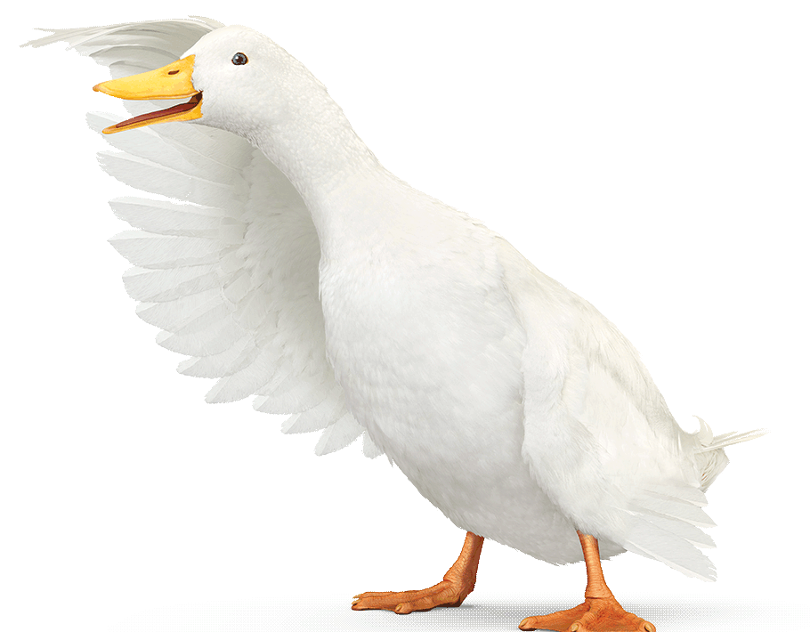Aflac Brand Center - aflac gif roblox