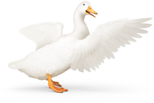 Aflac duck with wings out